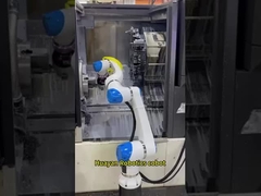 हुआयन हंस रोबोटिक्स कोबोट